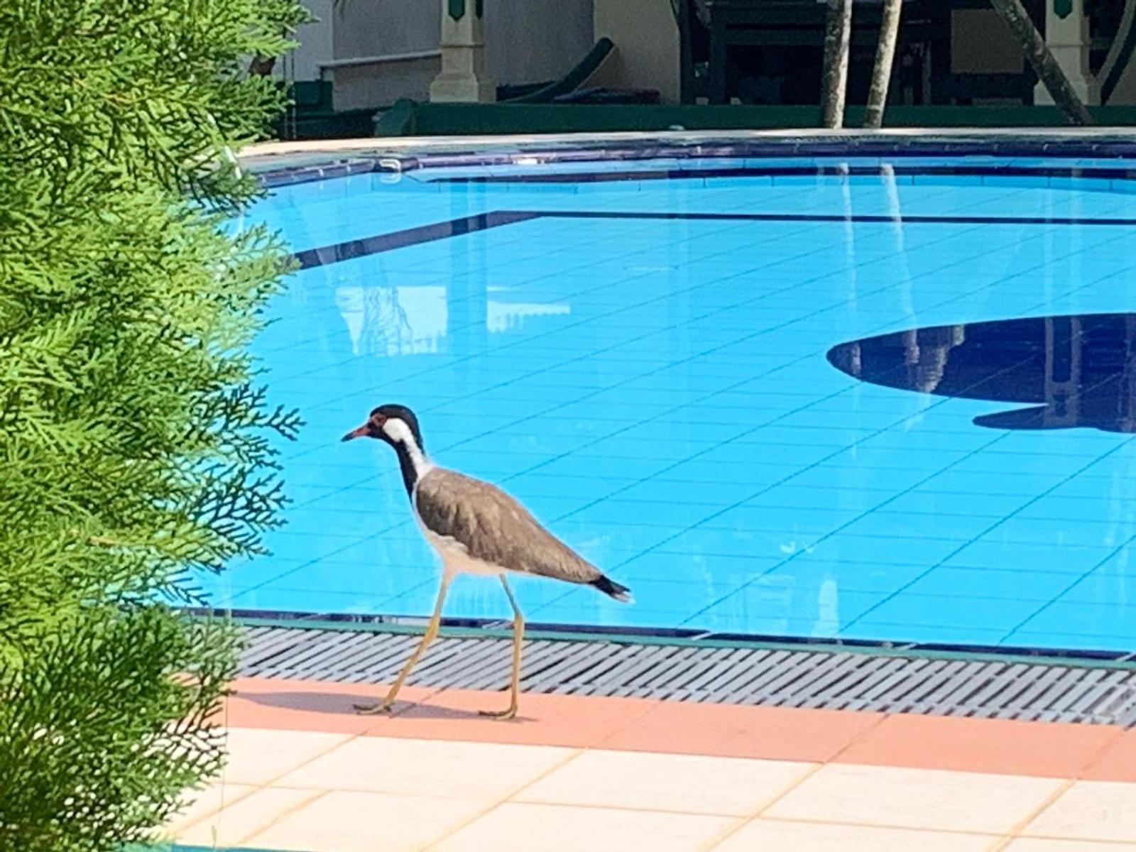 Sagarika Beach Hotel Moragalla Eksteriør bilde